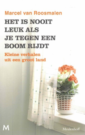 Het is nooit leuk als je tegen een boom rijdt. Kleine verhalen in een groot land