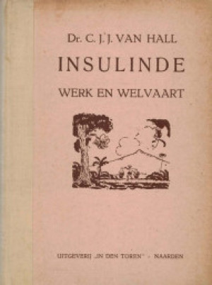 Insulinde werk en welvaart