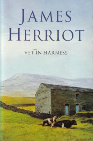 Vet in harnass
