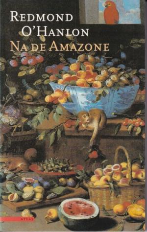 Na de Amazone