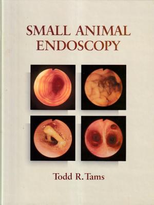 Small aninmal endoscopy