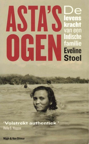 Asta's ogen. De levenskracht van een Indische familie