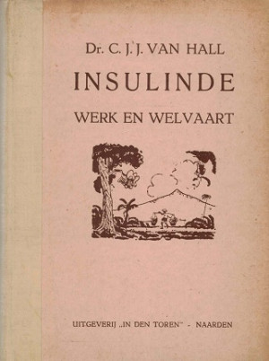 Insulinde werk en welvaart