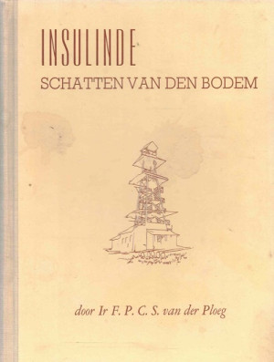 Insulinde. Schatten van den bodem.