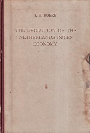 The evolution of the Netherlands Indies economy