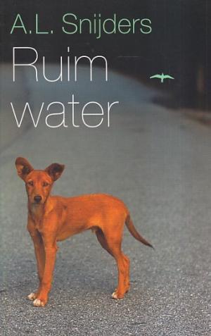 Ruim water