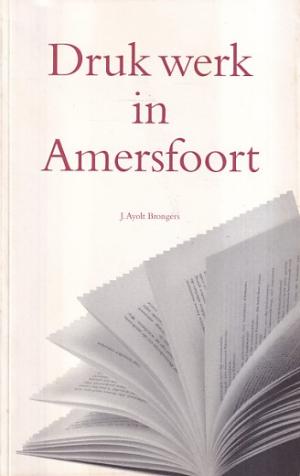 Druk werk in Amersfoort